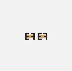 Orecchini logo EF